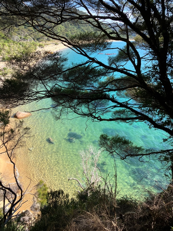 Motueka und Sidetrip in den Abel Tasman Nationalpark, Traumbuchten und dreiste Wekas, 19.2.-25.2.2024